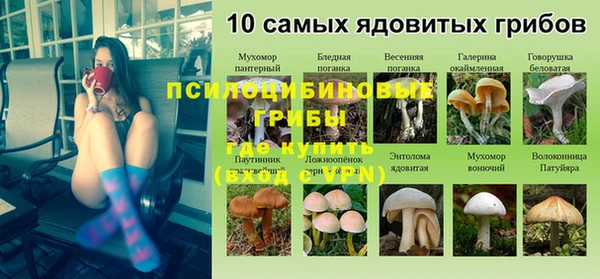 сатива Ханты-Мансийск