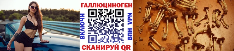 darknet официальный сайт  ссылка на мегу как войти  Аркадак  Галлюциногенные грибы Magic Shrooms 
